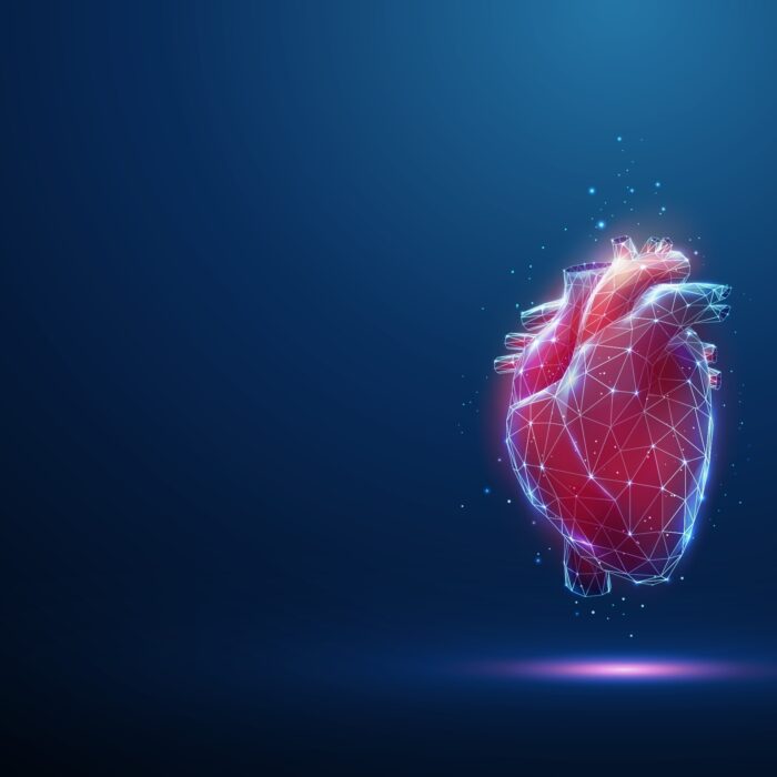 What Is TAVR? A Closer Look at Transcatheter Aortic Valve Replacement